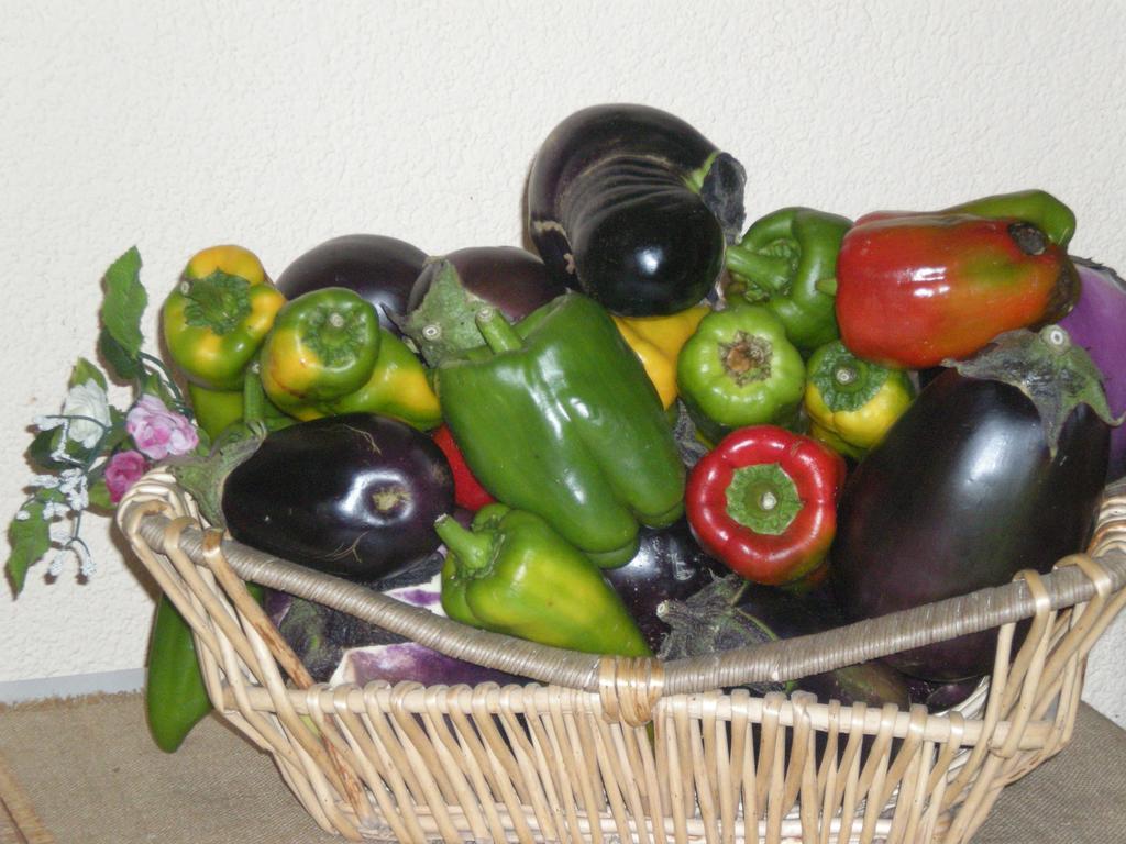 마사마리티마 Agriturismo Podere La Cascata 빌라 외부 사진