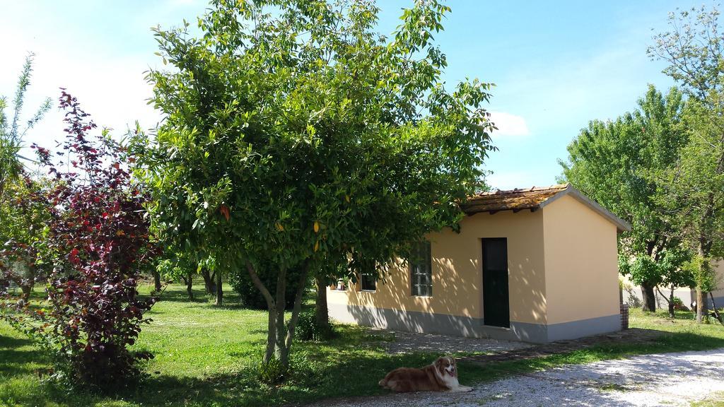 마사마리티마 Agriturismo Podere La Cascata 빌라 외부 사진
