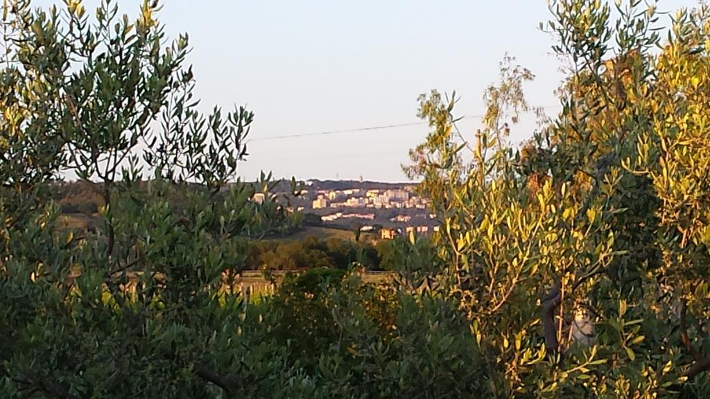 마사마리티마 Agriturismo Podere La Cascata 빌라 외부 사진